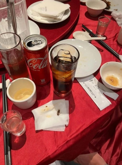 酒店用餐遇恶心惊魂 男子喝可乐吐出整只蟑螂!