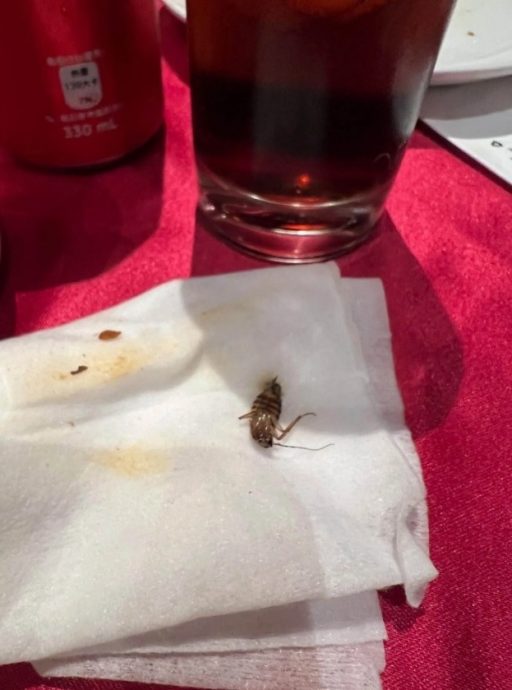 酒店用餐遇恶心惊魂 男子喝可乐吐出整只蟑螂!