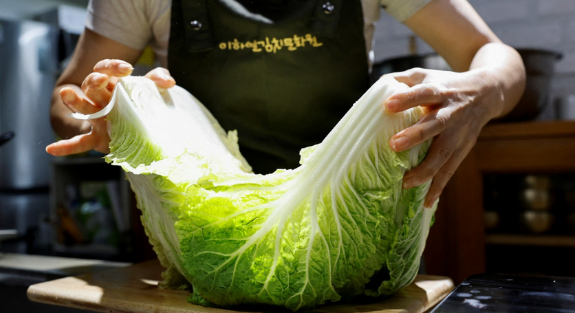 酷暑击韩！农作物减产超市惊见“金白菜”一颗18.50令吉