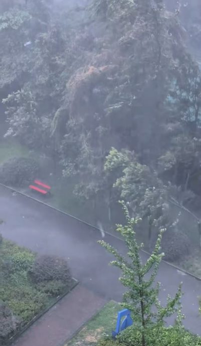 重庆多地暴雨紧急转移逾14万人