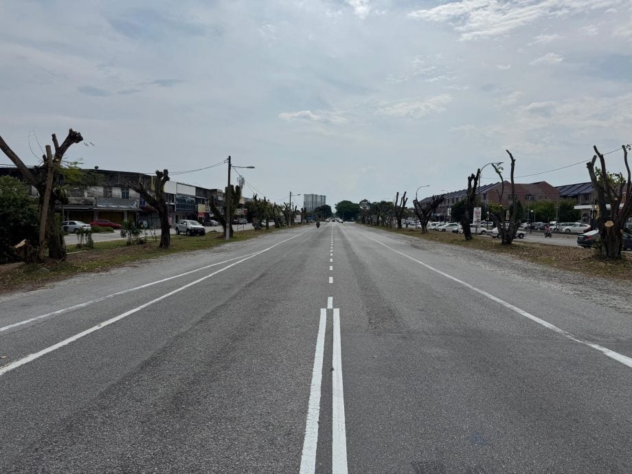 金宝峇都昔娜路获100万 扩至4车道长700公尺