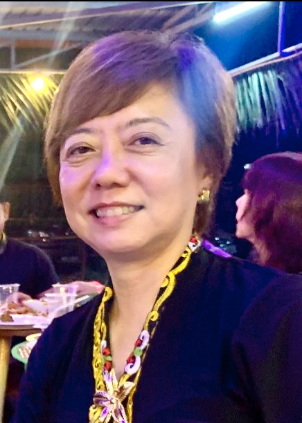 陈丽群：森州“杀人坑洞”遍地，马电讯须立即解决
