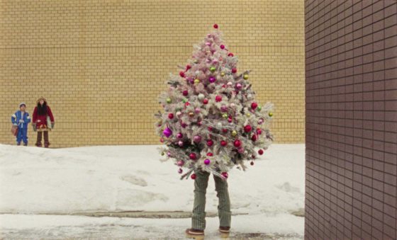 陈头头／《Universal Language》不是故乡也不是异乡，不是这里也不是那里