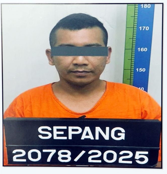 雪警方破1345万走私烟案 2走私犯关税法令下被控