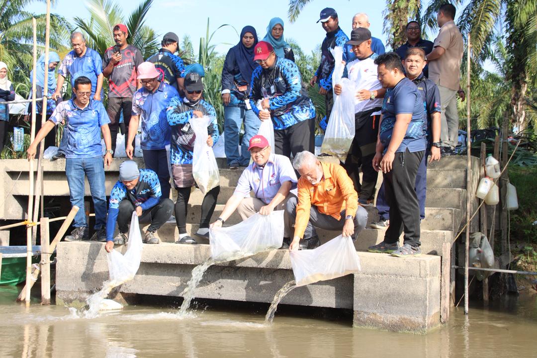 霹次季捕抓外来鱼 捕获4千公斤外来鱼