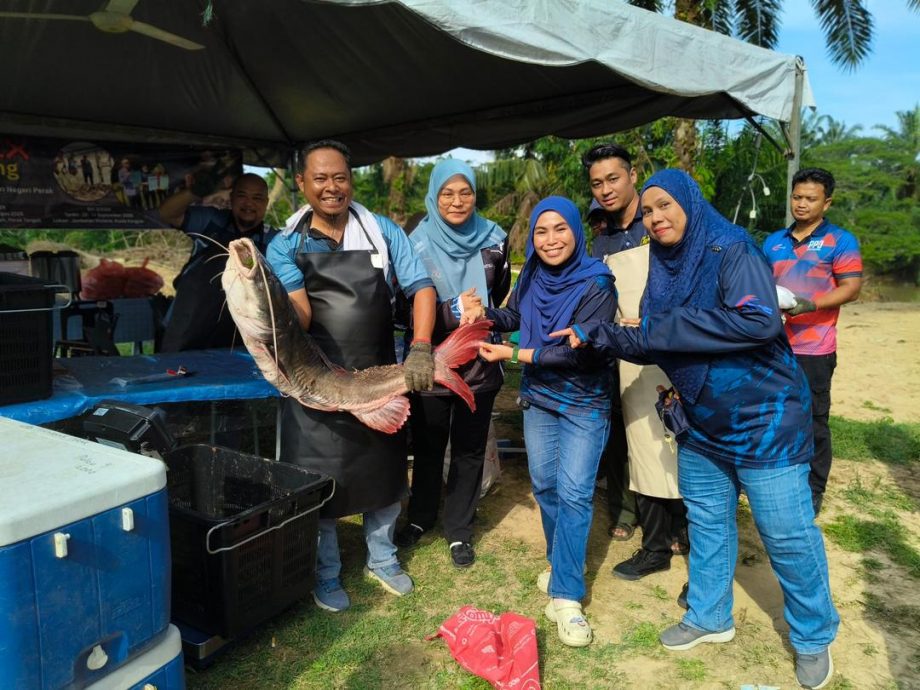 霹次季捕抓外来鱼 捕获4千公斤外来鱼