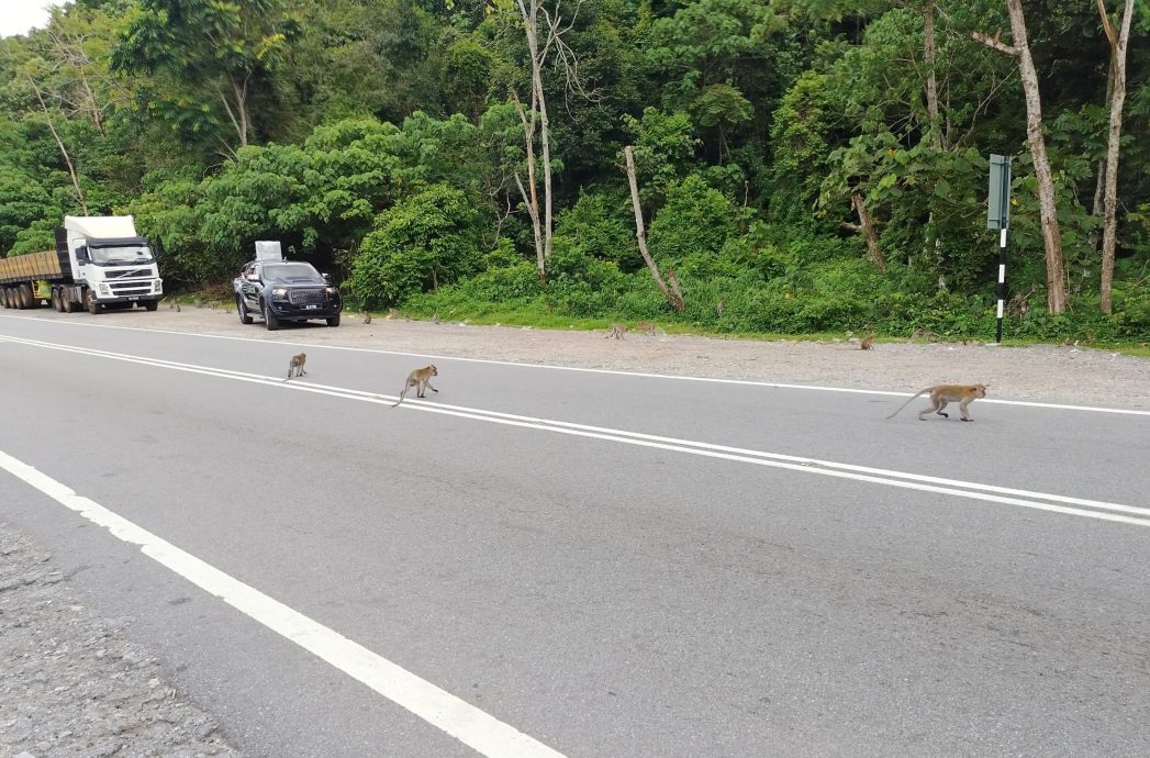 霹：5日见报／封底主文／东西大道（完结篇）︱提升工程如火如荼进行 霹政府盼重建东西大道