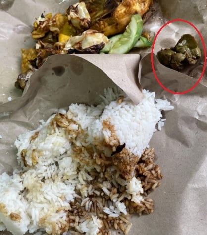 餐馆熟食有苍蝇卵 女子1年不敢吃炸鸡饭