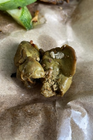 餐馆熟食有苍蝇卵 女子1年不敢吃炸鸡饭