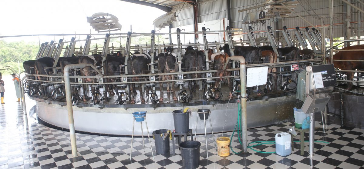 首相:每到一处向县议会问详情 拨款提升地方基建设备