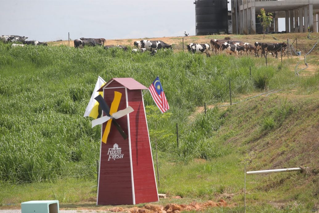 首相:每到一处向县议会问详情 拨款提升地方基建设备