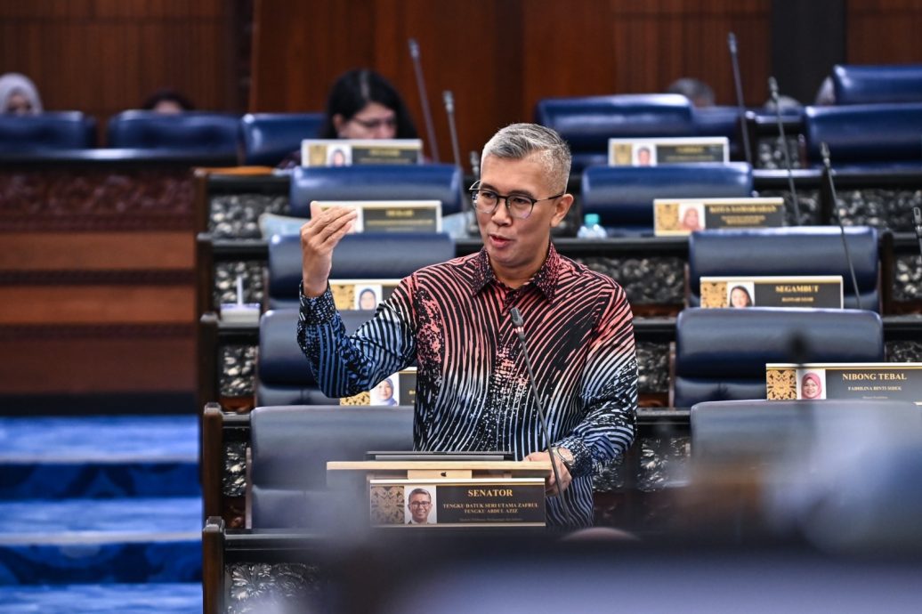 马美关税谈判承诺不涉公款 赛夫鲁:不会加重国库负担