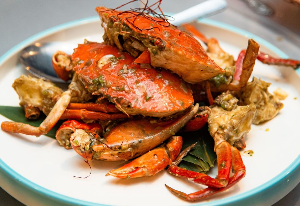 (21/8见报)《星洲人VIP》:丹绒加弄海尚人趣蟹馆串联周边生态游