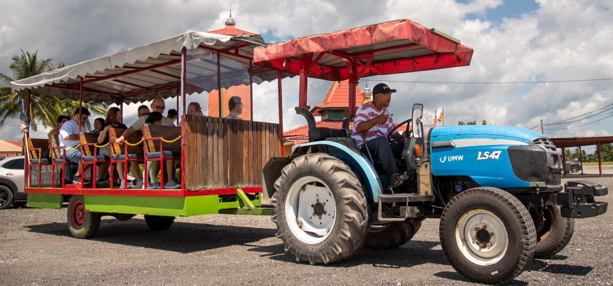 (21/8见报)《星洲人VIP》:丹绒加弄海尚人趣蟹馆串联周边生态游