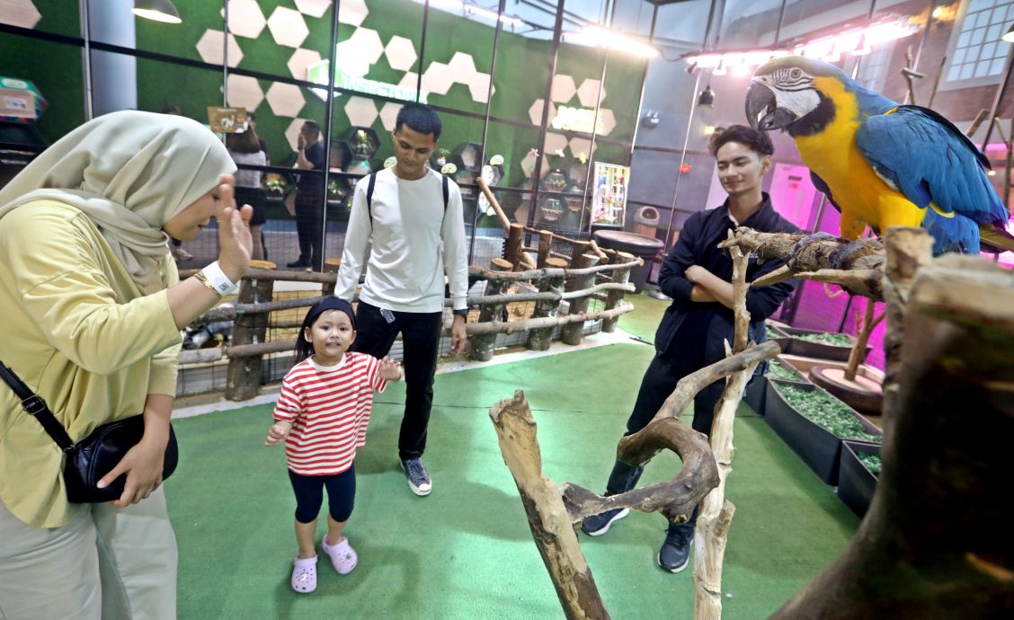 （24/8见报）封底/全视角/雪隆购物商场/15图