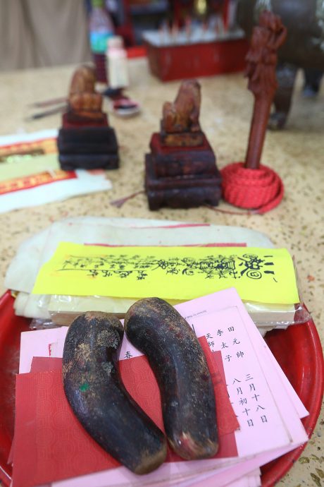 （5/8见报）大都会／异宗求同／15图