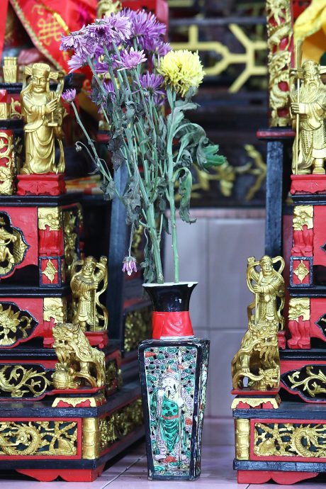 （5/8见报）大都会／异宗求同／15图