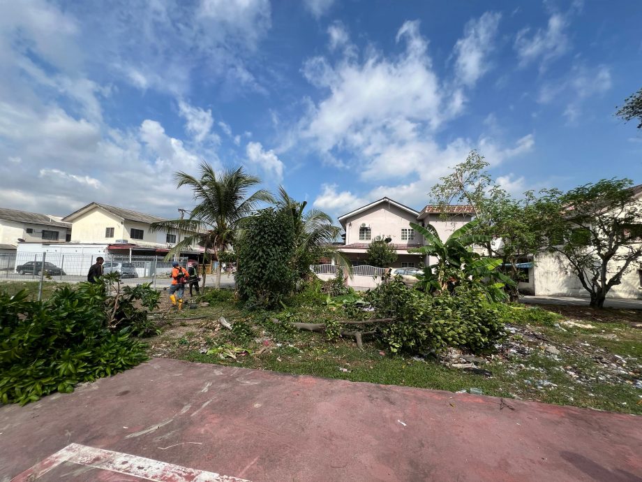 （今天下）大都会/草场遭霸种树又堆垃圾　