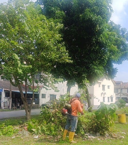 （今天下）大都会/草场遭霸种树又堆垃圾　