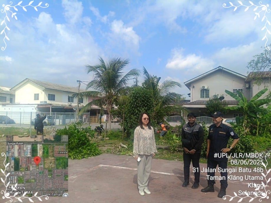 （今天下）大都会/草场遭霸种树又堆垃圾　