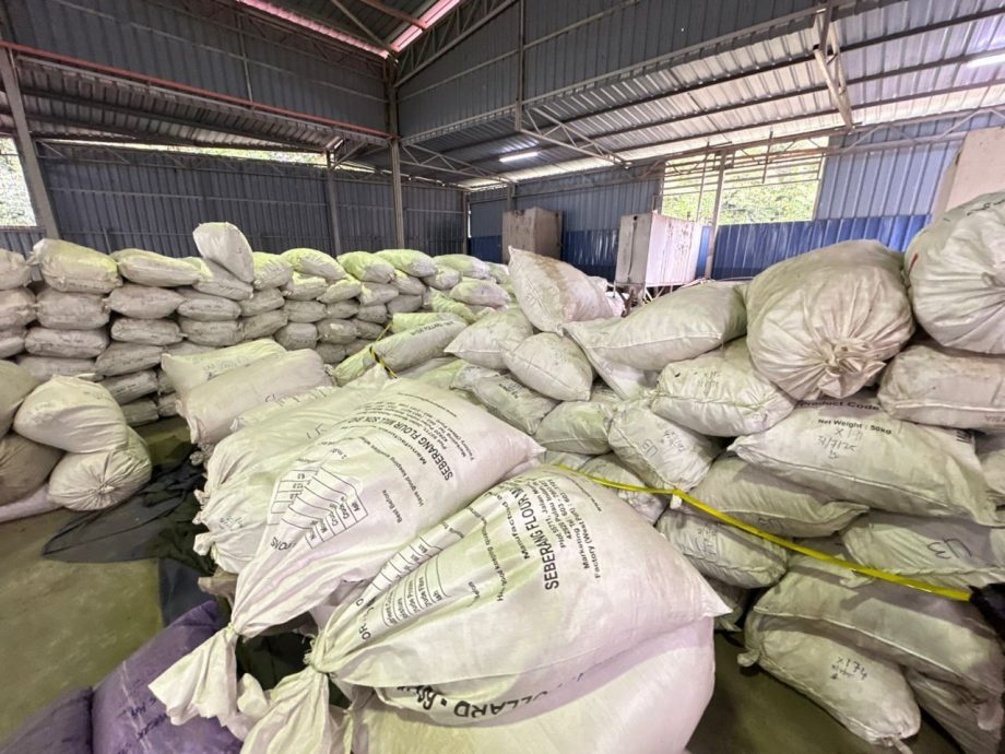 （全国版）警方及多单位侦破非法销售沉香木集团 起获逾1亿充公物