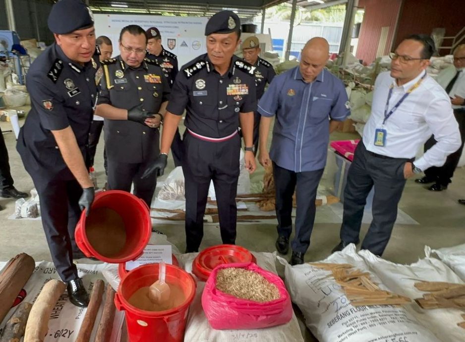 （全国版）警方及多单位侦破非法销售沉香木集团 起获逾1亿充公物