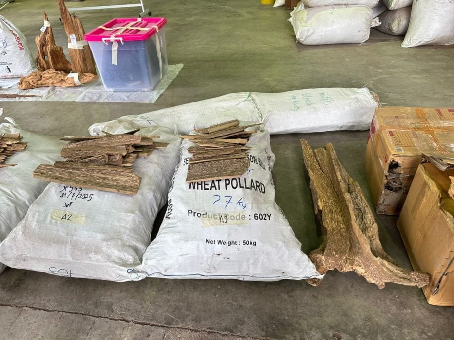 （全国版）警方及多单位侦破非法销售沉香木集团 起获逾1亿充公物