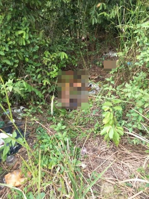 (全国版)默迪卡再也花园谋杀及肢解妻子及继子案,高庭宣判坐牢共72年及鞭笞共24鞭