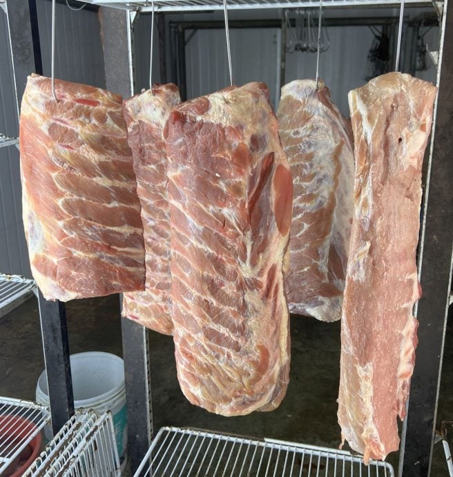 (古城封面主文)进口肉抢市·烧猪烧肉维持不涨