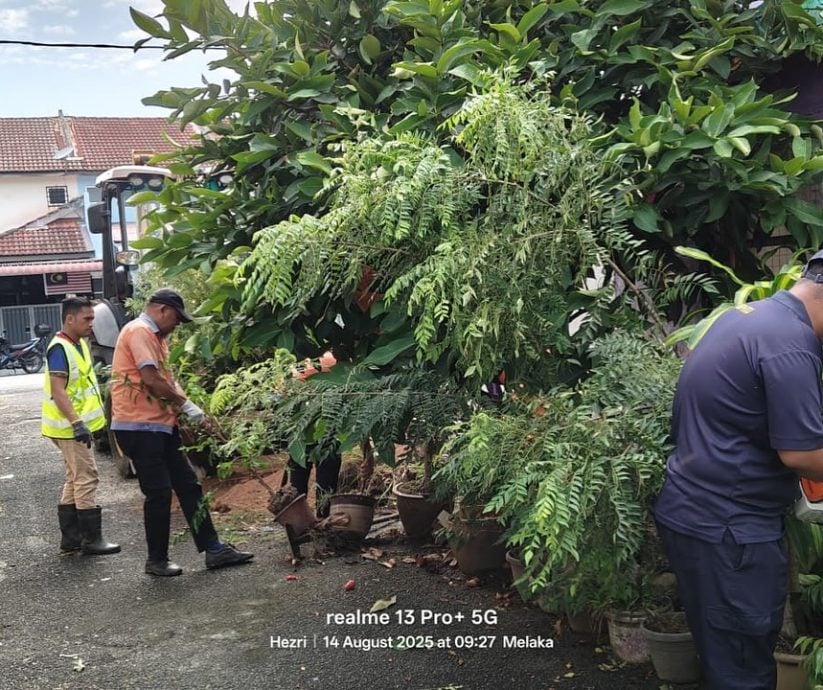 (古城第三版主文)雨季来临黑斑蚊风险高·市议会展开后巷清理行动