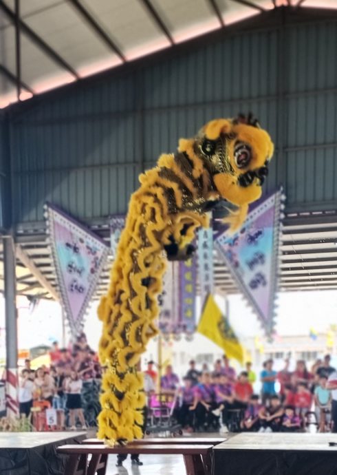 （古城第六版主文）《YB谢守钦杯》传统器材南狮巡回联赛