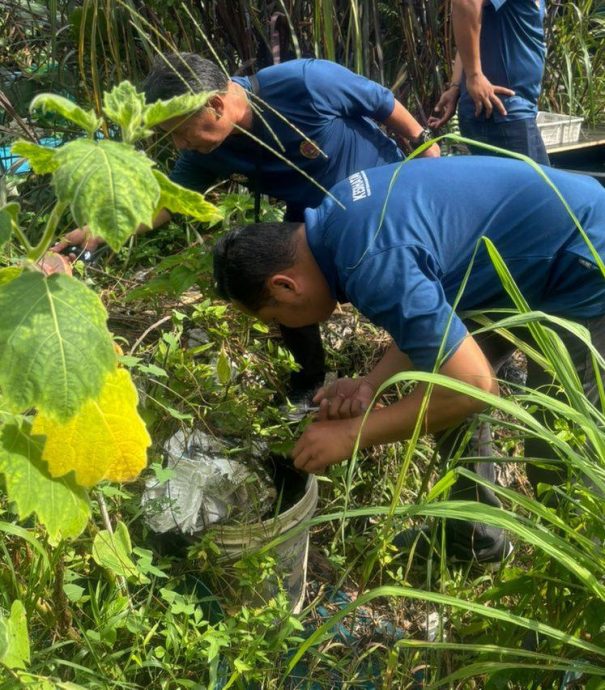 (古城第六版主文)谢守钦:勿一人疏忽,导致社区承受骨痛热症的威胁