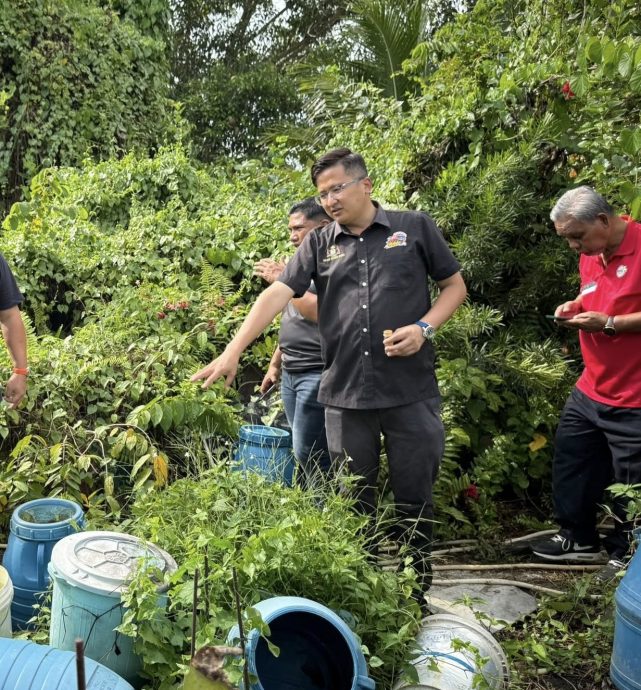 (古城第六版主文)谢守钦:勿一人疏忽,导致社区承受骨痛热症的威胁
