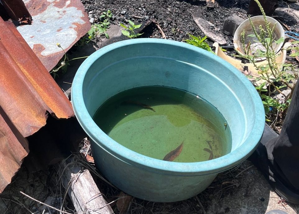 林朝雁：拾荒老妇于杂物堆积处附近煮食，居民忧再引发火患