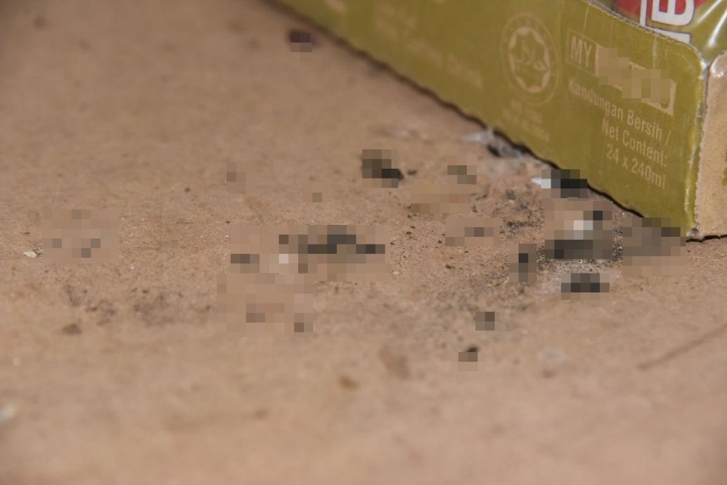 （大北马）4食肆杂货店有蟑螂老鼠屎，被指示停业14日全店清理