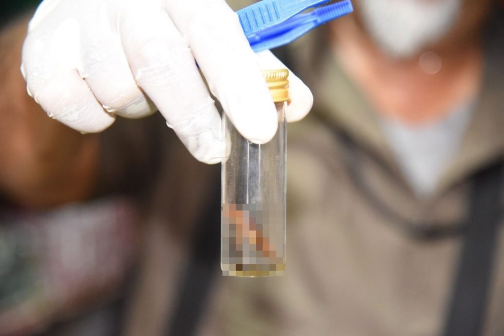 （大北马）4食肆杂货店有蟑螂老鼠屎，被指示停业14日全店清理