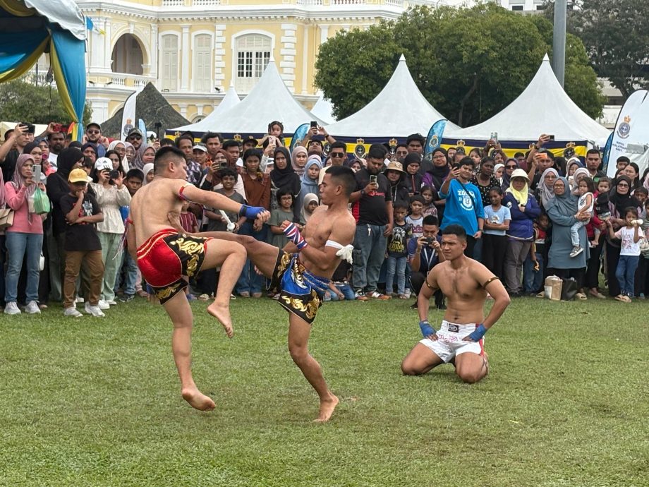 （大北马）“珍珠快讯日4.0”闭幕