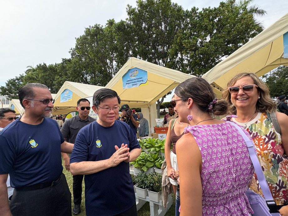 （大北马）“珍珠快讯日4.0”闭幕