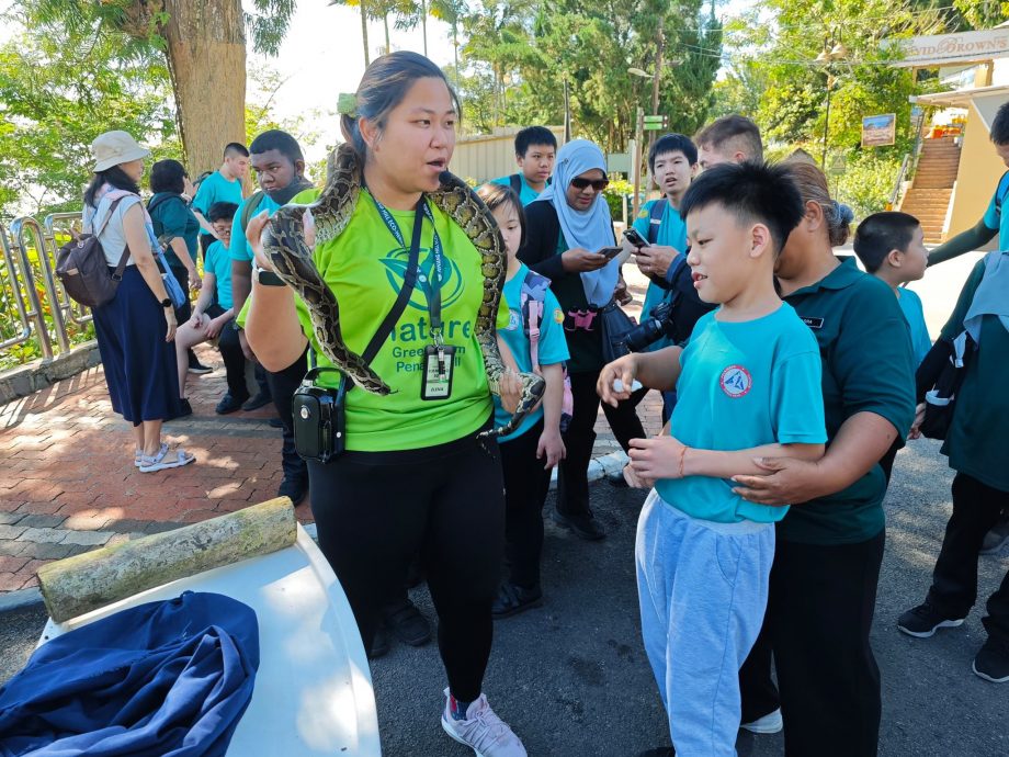 初体验难掩兴奋 特殊儿开心坐升旗山缆车