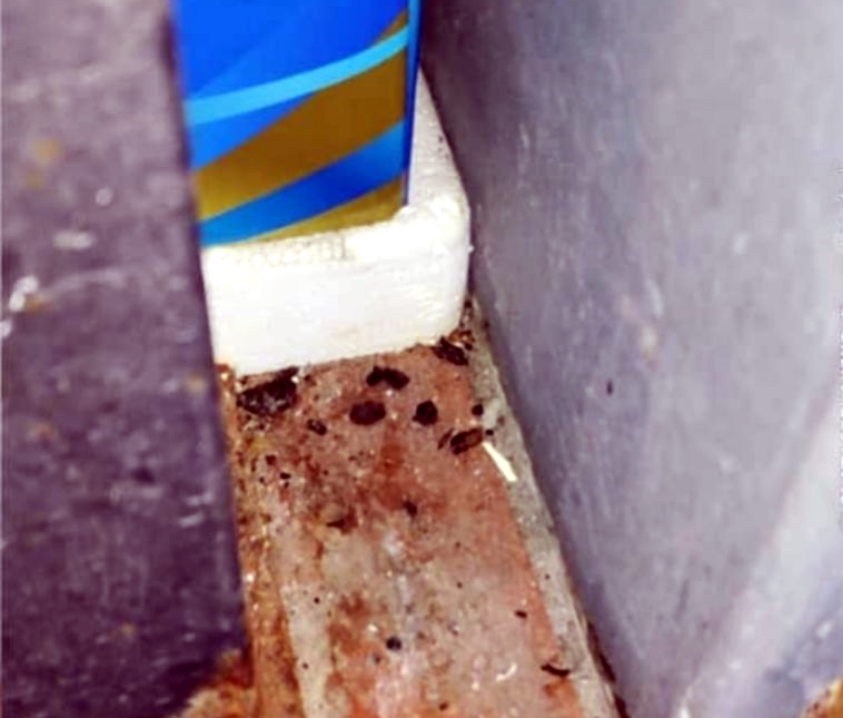 （大北马）卫生不达标有老鼠屎 3食肆被关闭