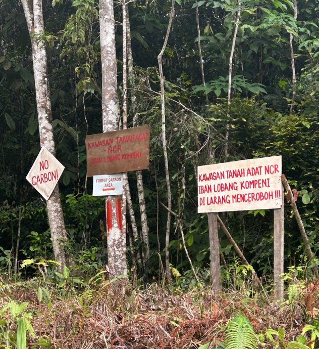 （大北马）吁政府与碳补偿执行者不得单方面，SAM：决定原住民习俗地大小