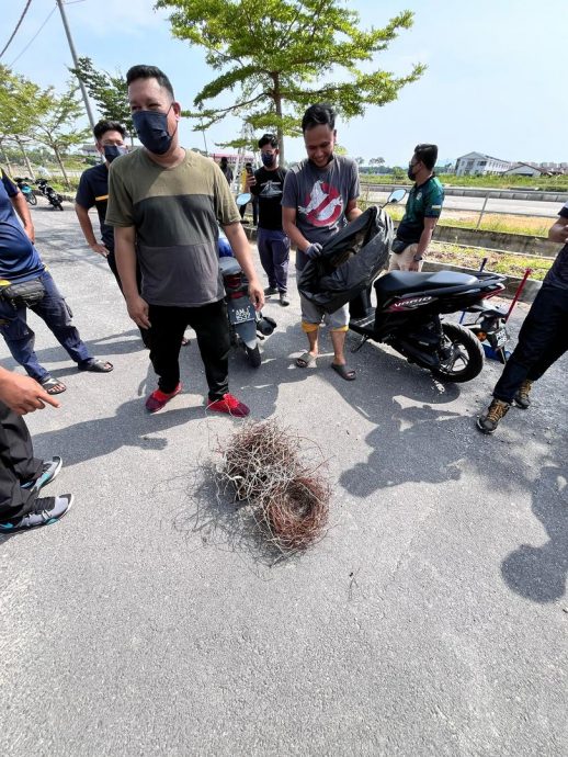 （大北马）吉辇县议会 太子城社区 展除鸦窝行动 37窝点被除