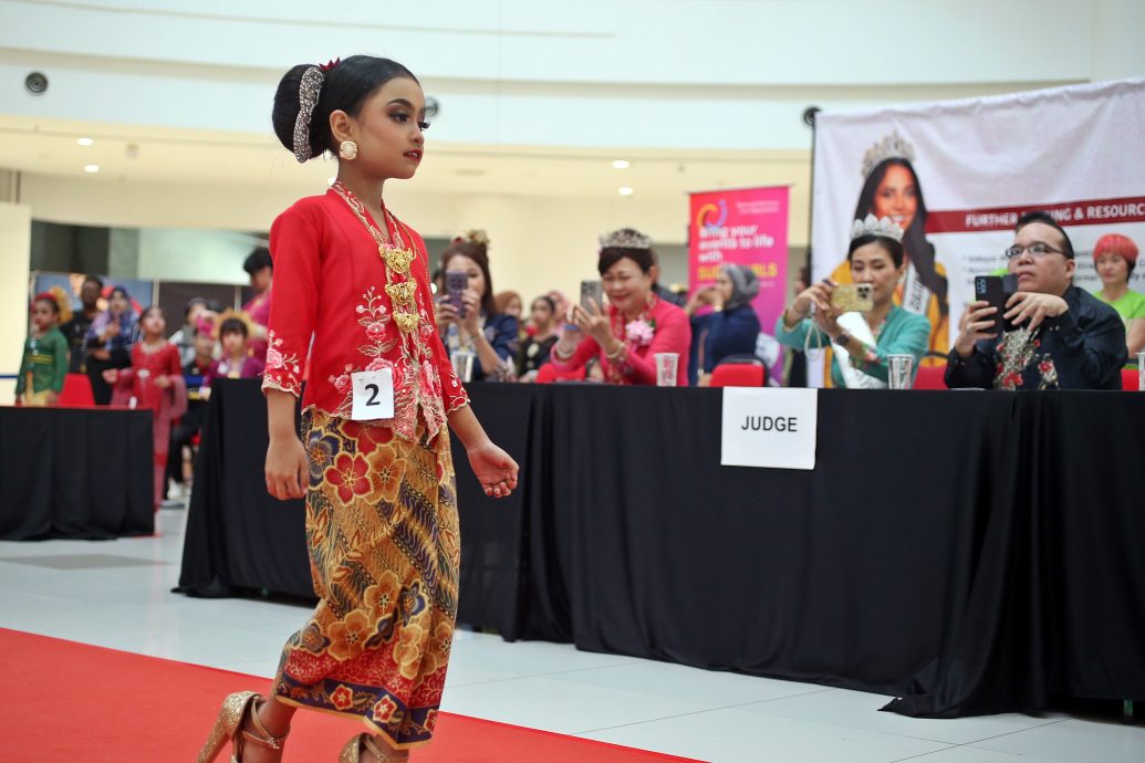 （大北马）建议哥峇雅降价 林冠英：有助于普及化