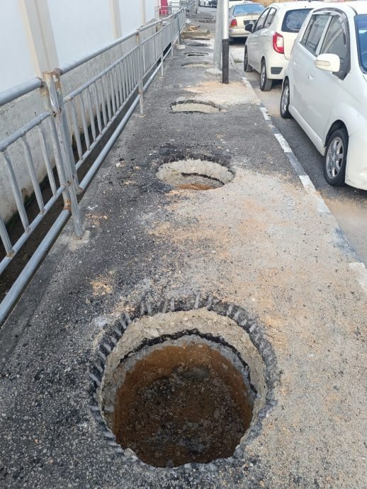 (大北马)擅自在路肩非法开洞以种植树木,遭威省市政厅对付