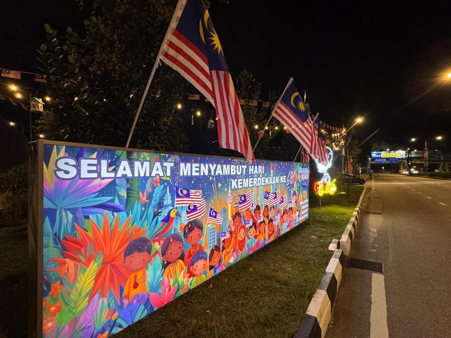 （大北马）王耶宗吁各界保持理性　　不要让个别事件影响爱国心