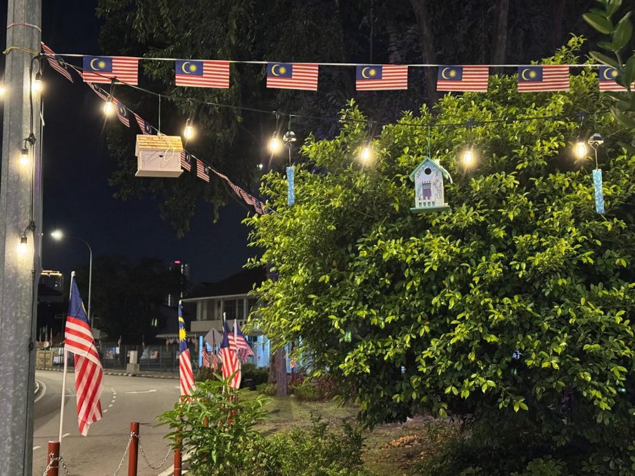 （大北马）王耶宗吁各界保持理性　　不要让个别事件影响爱国心