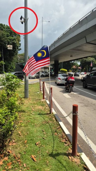 (大北马)王耶宗挂国旗也装电眼