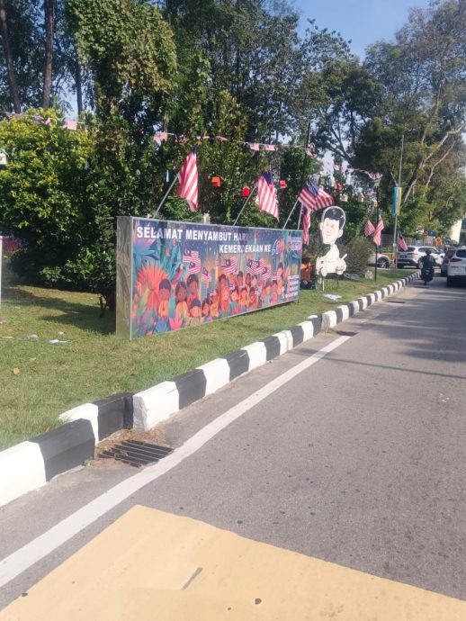 (大北马)王耶宗挂国旗也装电眼