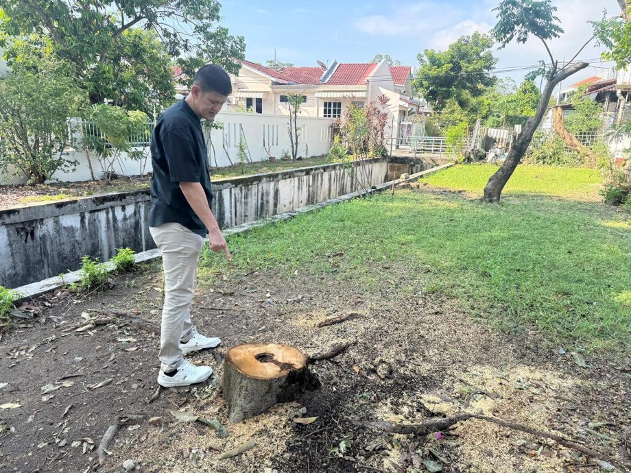 (大北马)王耶宗水利灌溉局清理树木杂草