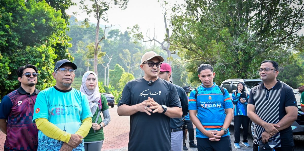 （大北马）百年“四数木”成日莱山新景点 